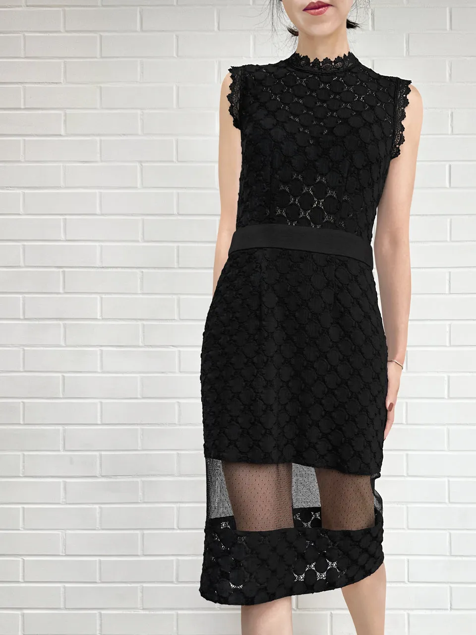 Black Lace Sultry Slim Fit Knee-Length Dress