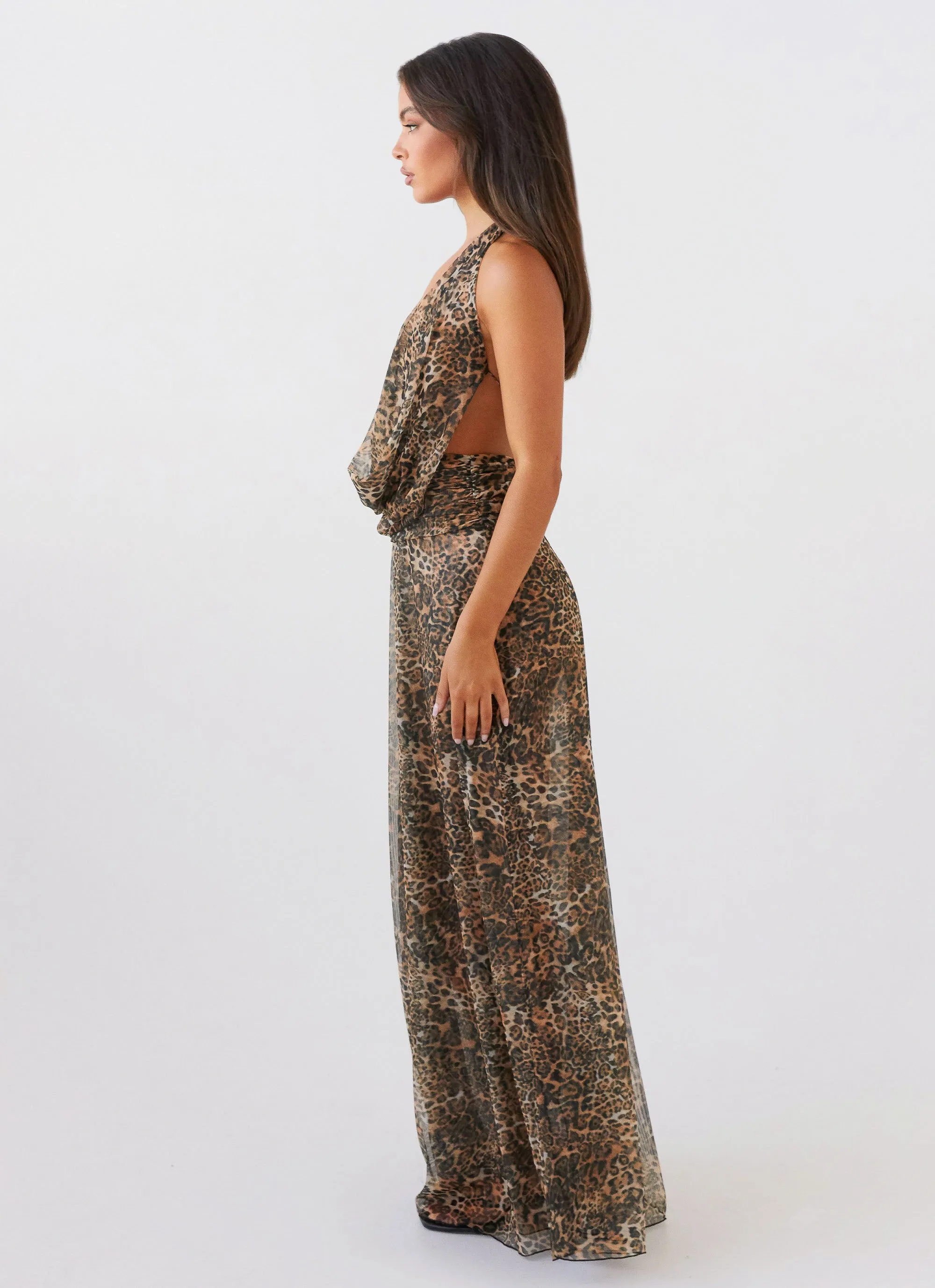 Elysia Mesh Maxi Dress - Leopard