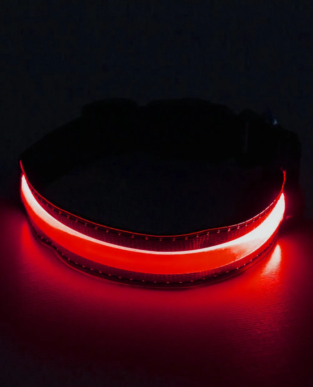 LED COLLAR