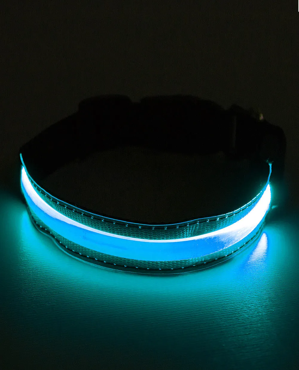 LED COLLAR