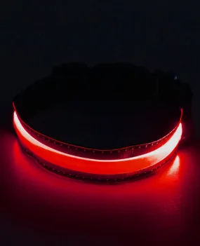 LED COLLAR