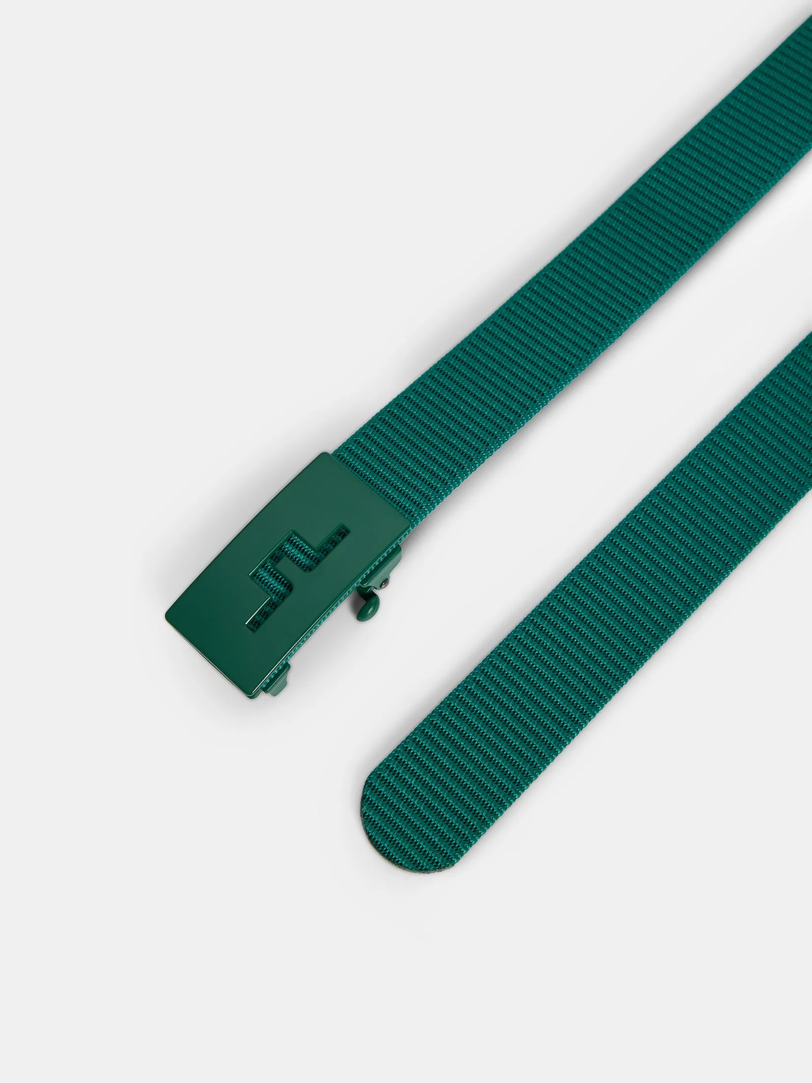 Roy Webbing Belt / Proud Peacock