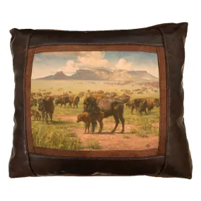 Spirit of the Plains Sweetwater Pillow