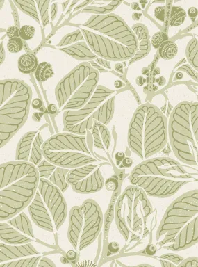 Stringybark Green Wallpaper Swatch Sample